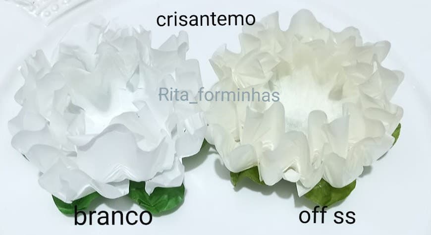 Rita Forminhas